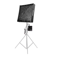 Amaran F22c