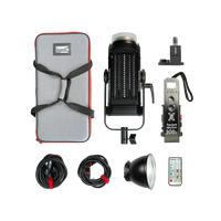 Aputure 300x